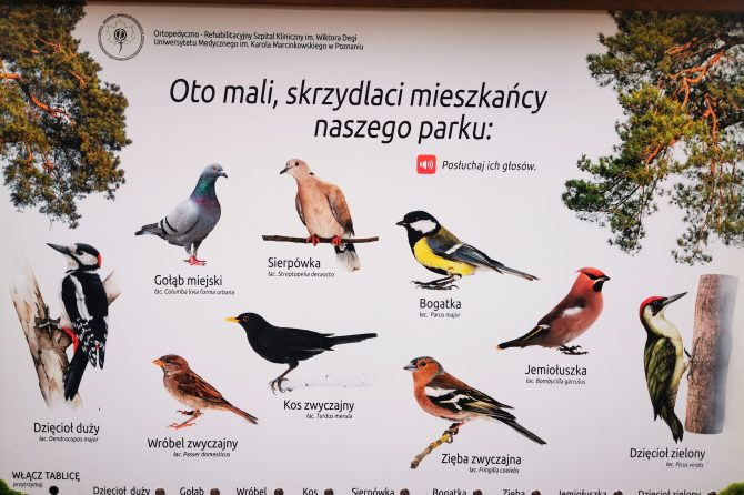 Wiosna budzi się w naszym szpitalnym parku!