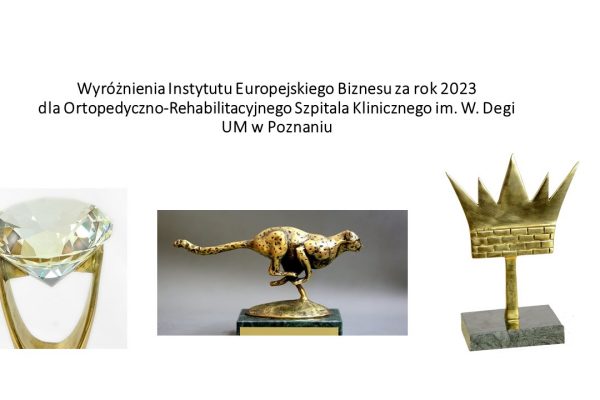 Ortopedyczno-Rehabilitacyjny Szpital Kliniczny im. Wiktora Degi Uniwersytetu Medycznego im. Karola Marcinkowskiego w Poznaniu z trzema prestiżowymi wyróżnieniami Instytutu Europejskiego Biznesu za rok 2023