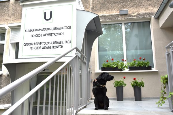 Pacjent z psem asystującym w naszym szpitalu